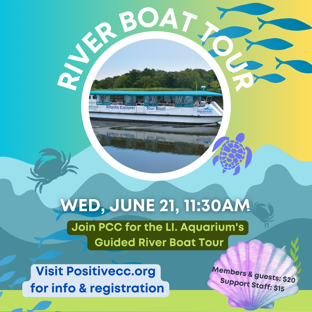 upcoming-events-positive-community-connections